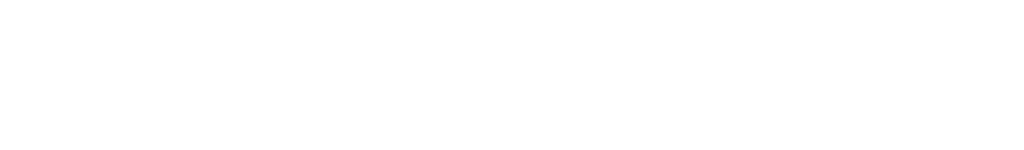ladenetz Logo